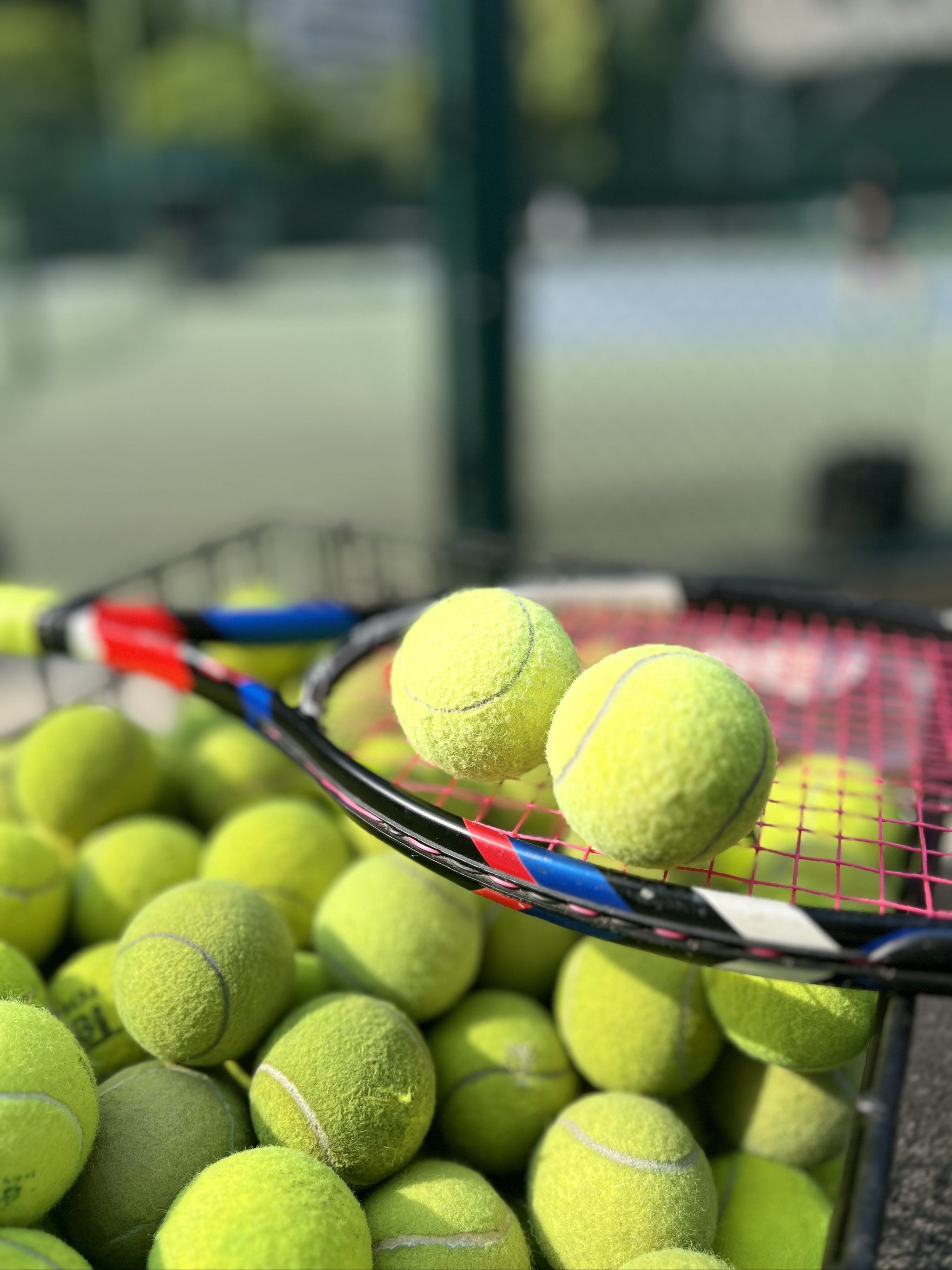 但每次伤病 但每次伤病