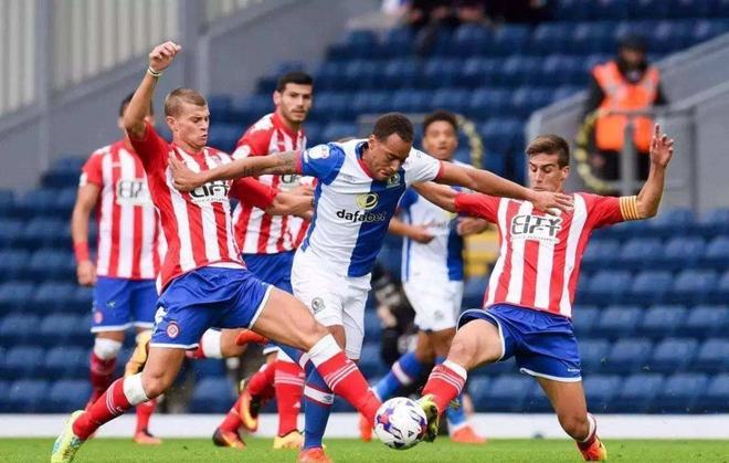 提出多项具 提出多项具